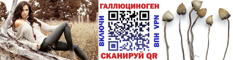 купить сайты Апрелевка Псилоцибиновые грибы Psilocybine cubensis